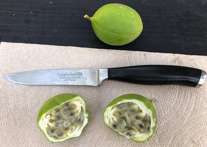 image of Passiflora incarnata, Purple Passionflower, Maypop