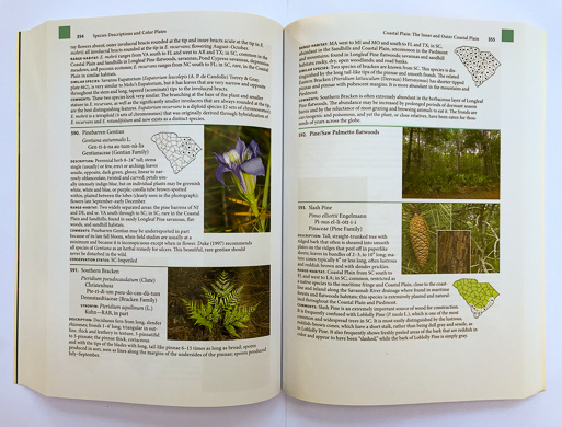 page from the revised and expanded Guide to the Wildflowers of South Carolina