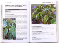 page from Invasive Plants: Guide to the Identification and the Impacts and Control of Common North American Species by Sylvan Ramsey Kaufman with Wallace Kaufman