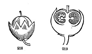 fig218-219