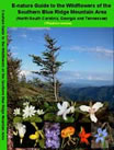 bookcover The Wildflowers of the Southern Blue Ridge Mountain Area by Edward Pivorun